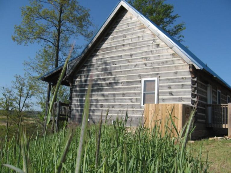 IMG 3522 2069ffcc 5056 a36a 074563d3e786c94f 768x576