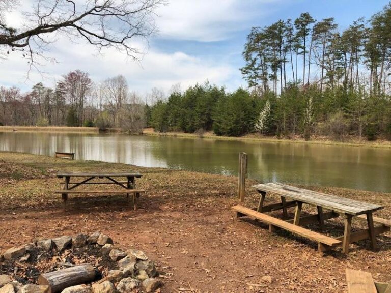 IMG 4028 smaller 2361485a 5056 a36a 07ff4d491cfe4c41 768x576