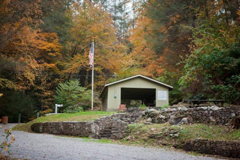 IMG 5285 1bb2daee 5056 a36a 0732f2ea3b297d54 768x512