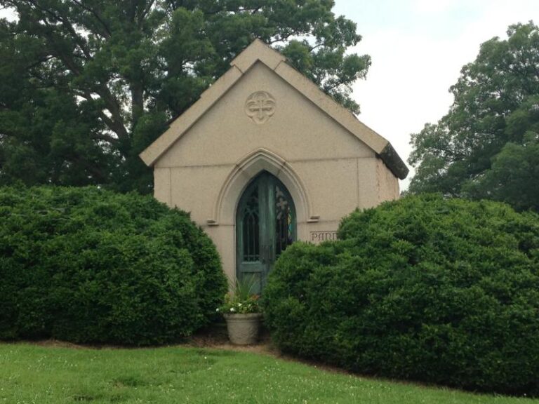 IMG 5457 236109f2 5056 a36a 07e6b2227c51bd7b 768x576