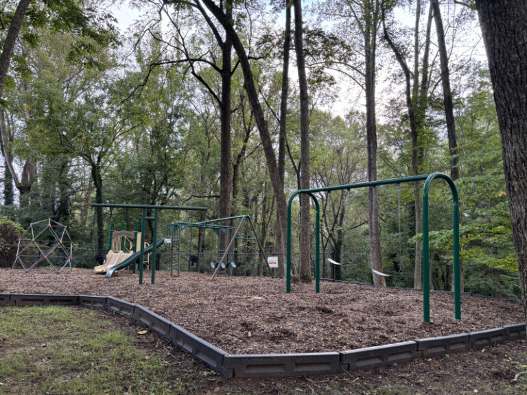 IMG 5560 D8424C46 ABCE D6D1 A7D6C3DA5911F23E d8423013b525ea1 1e84ef60 92ae 3e08 5e8ea89ed2657625 768x576