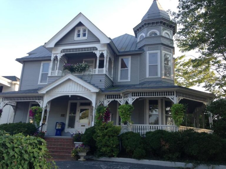 IMG 5645 2360ef50 5056 a36a 078f872ef9d0d0ab 768x576