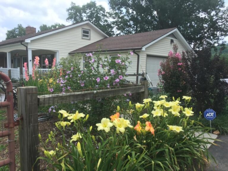 IMG 7108 d144815c 5056 a36a 07d97c1a29a82e08 768x576