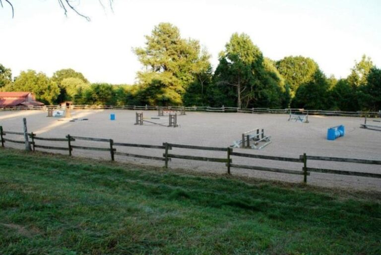 IMG 7852 e1461704799217 b6f066e3 5056 a36a 07fa8ada52f10506 768x515