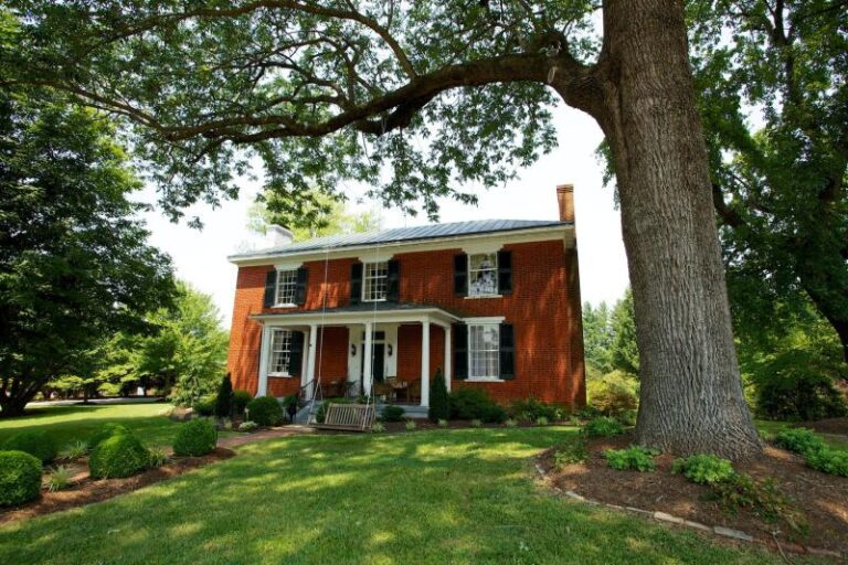 IMG 8489 23db4224 5056 a36a 077222acfce34045 768x512