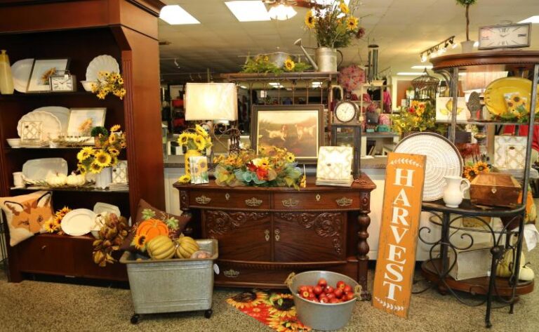 IMG 9770 cc2cd9ae 5056 a36a 071f303172c9be5e 768x473