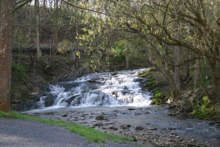 JSEasterlyPark3 9f4639da 5056 a36a 07f6c997fc022ccd 768x513