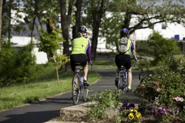 MG 4535 1e6b7946 5056 a36a 073be009e1b41782 768x512