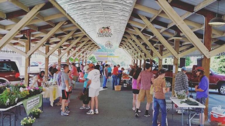 Marion Farmers Market 2016 1dbc96a4 5056 a36a 07930d2040b65b75 768x432