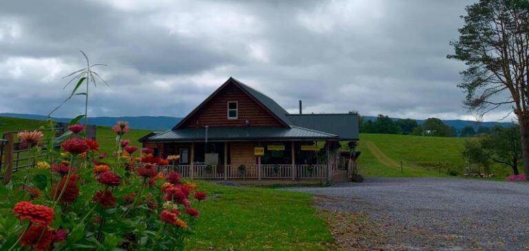 Matties Place 4 1 9f456053 5056 a36a 07639fb4b54f331c 768x364