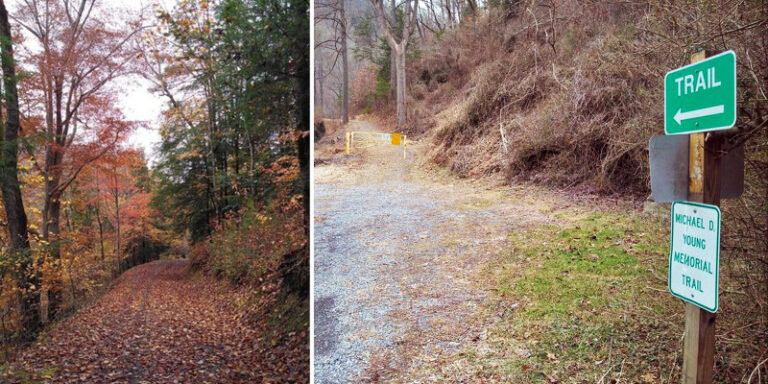 MichaelDYoungTrail1600x800 184243D3 823F 435D 81DF6F771802C3D1 b59aab1f 7229 422e 900ed30e63b77aa9 768x384