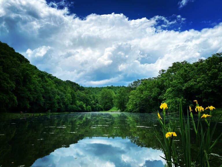 OxbowLakePark 2020 12 15 kimshort 186E3EB7 B8DA 4AF5 9771 B0B69A3FA04E 1 d587076c 5056 a36a 071de040dcecc33e 768x576