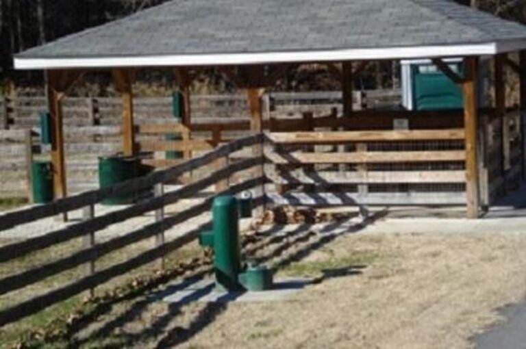 Path 1 1 cc452c20 5056 a36a 073cb1de7fe22c48 768x510