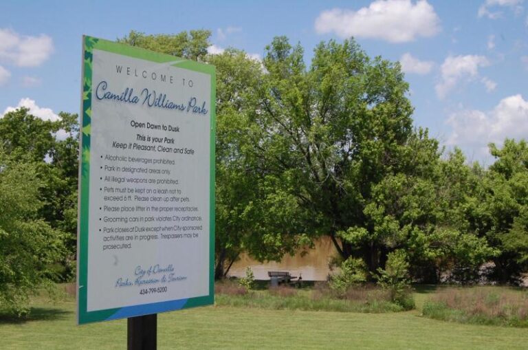 Path 4 cc42bad6 5056 a36a 071db8e73d0c516b 768x509