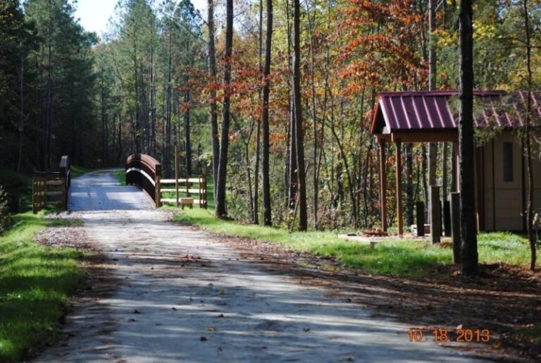 Phase III 2528cef4 5056 a36a 07897f814e8fe57e 768x515