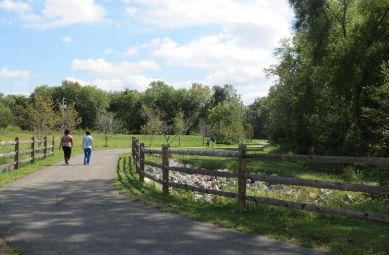 Picture 016 2333eaff 5056 a36a 074a95ab4e8edc7e 768x504