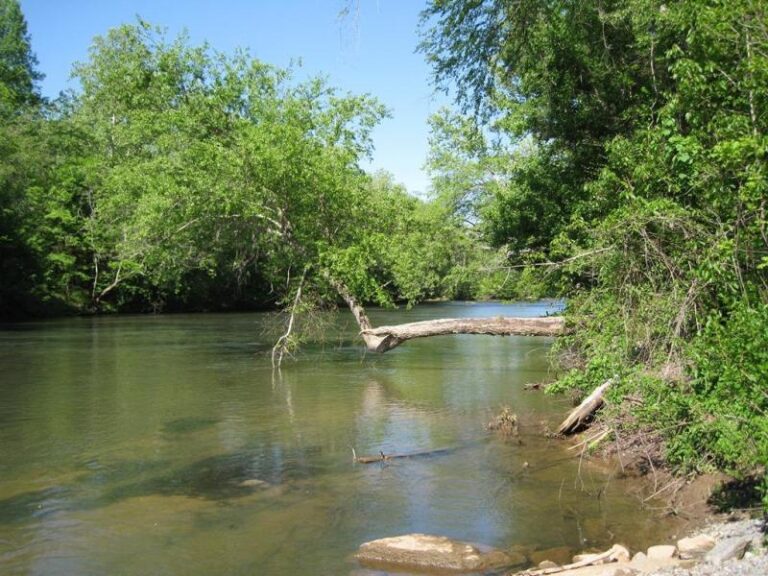 Picture 003 1dc5f9f3 5056 a36a 07dab9cece1d13cf 768x576