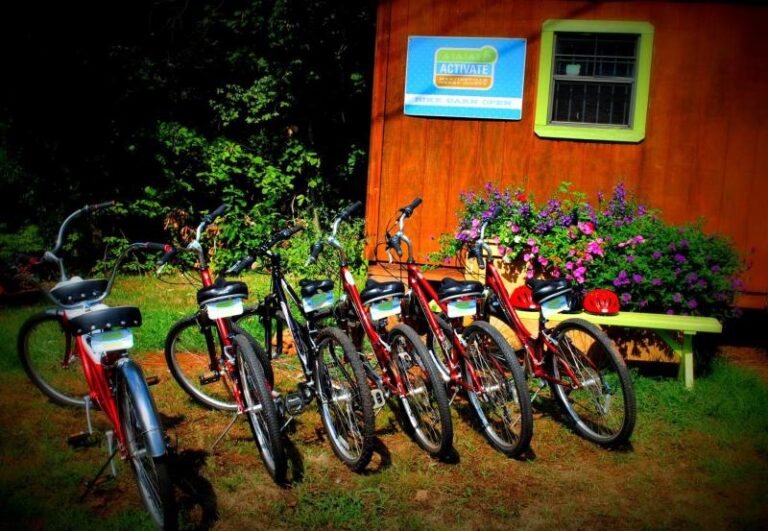 Post Card Image 1fd4d456 5056 a36a 0732561c2aeaeb22 768x531