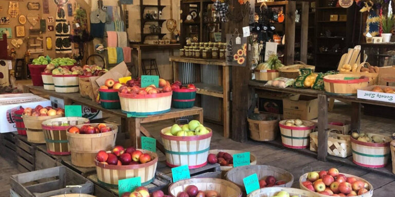 PugsOrchard1600x800 3B28FE65 6158 41DF B21063214801A88D 440a3359 9f2a 44e2 8b0847d46f1ad852 768x384