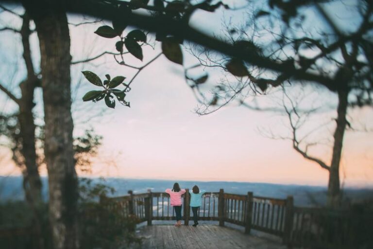 QQ1A6191 smaller 1b1e59b1 5056 a36a 07a94e1982aa6bcc 768x512