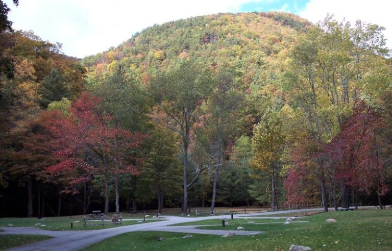Raccoon Branch Campground 1bd633a4 5056 a36a 07d9d14bae7fc751 768x492