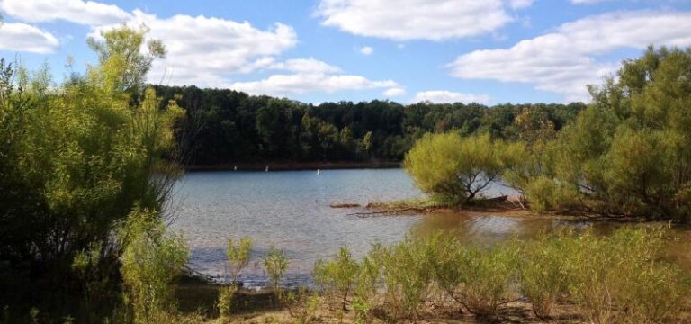 RuddsCreekSept232013 278eb55d 5056 a36a 070e5c50cfdf41cd 768x360