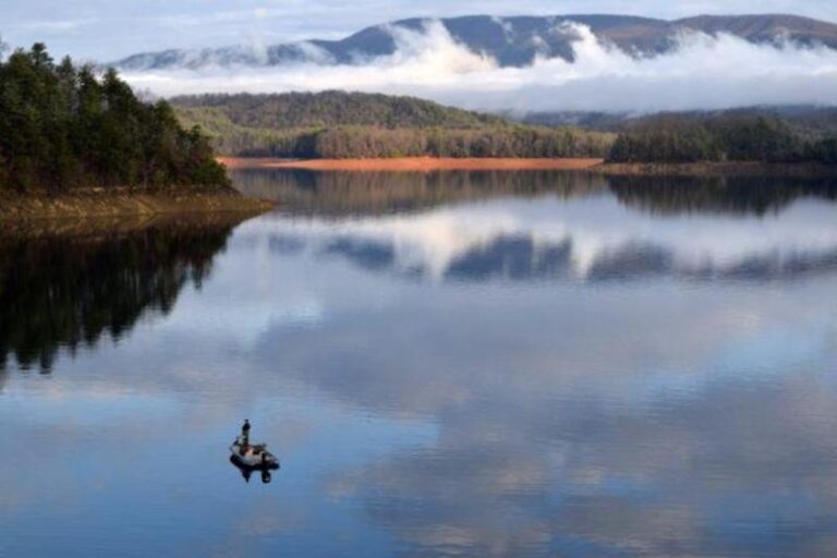 SOHO1 1b272be3 5056 a36a 07217667fff752cf 768x512