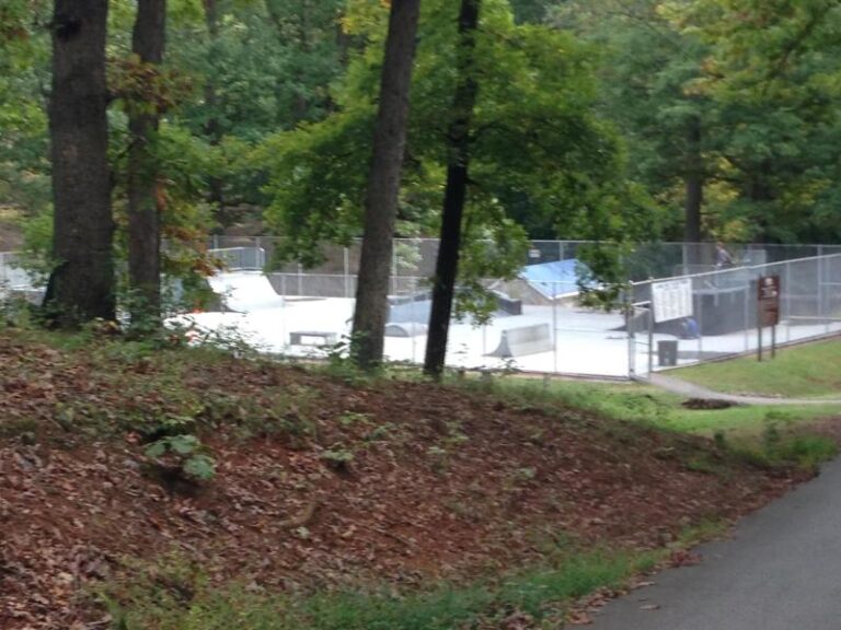 Skate Park 1 1c8755c9 5056 a36a 073032828c811ed5 768x576