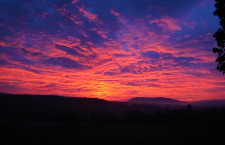 Sunrise over the farm 29 May 16 d667a17a 5056 a36a 070201e36ab2e13d 768x497