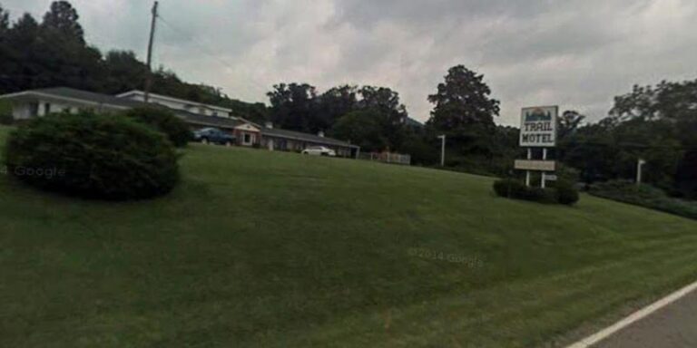 TM 1 1b927019 5056 a36a 0748ef421de67baf 768x384