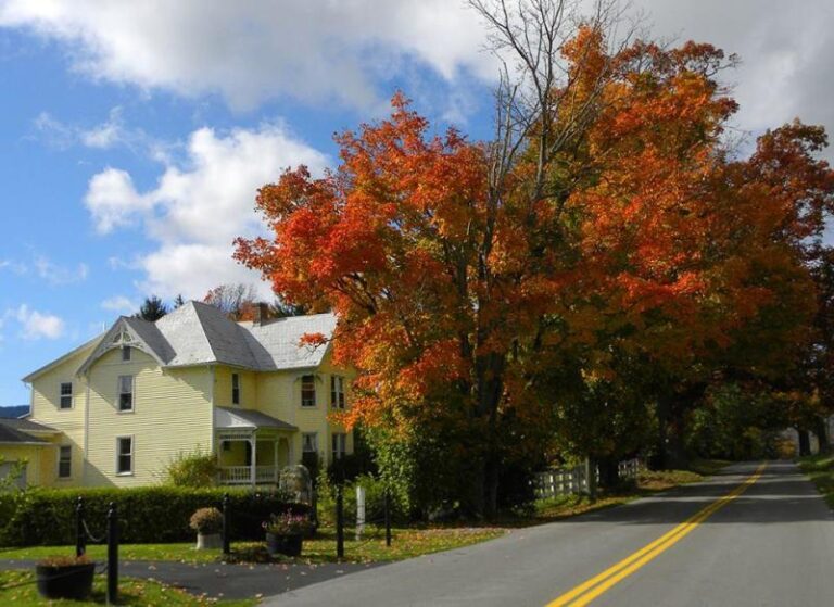 The Parsonage Guest House 2 232b88af 5056 a36a 07c591c4a971210a 768x559