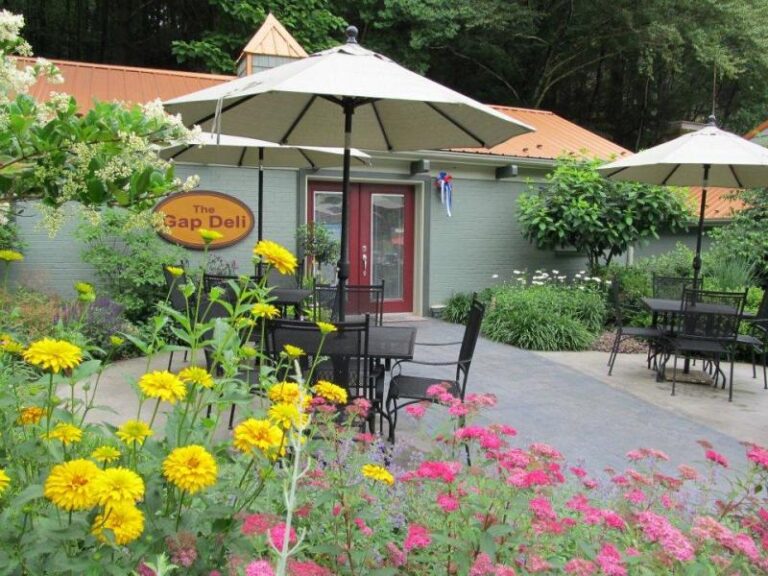 TheGapDeli afd2aa52 5056 a36a 076f35f7f80b0bb4 768x576