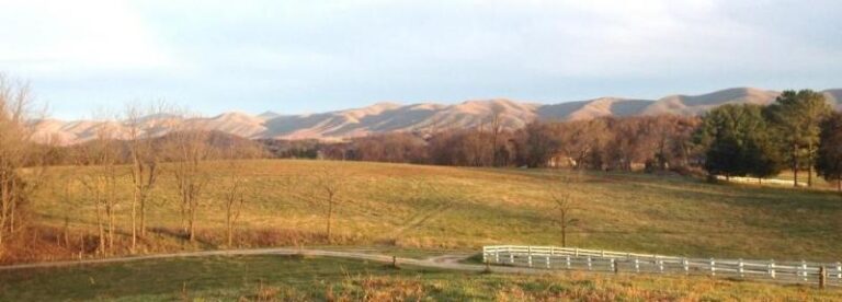 Thornfield Farm 236cefee 5056 a36a 07fbf0c75b3ff917 768x276