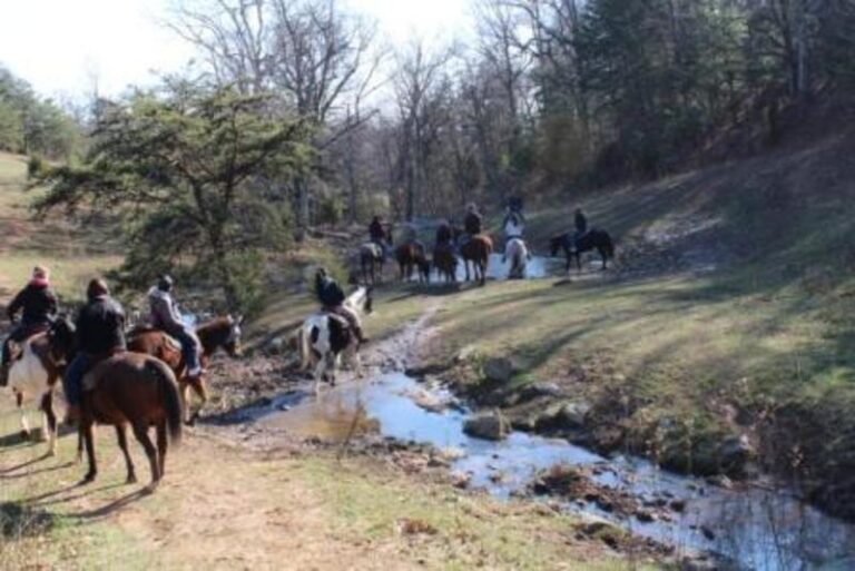 Trail Ride RC 12 11 11 127 1c996207 5056 a36a 0795d0eda071a7e8 768x513