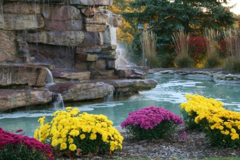 VAORG Photo b79cde87 5056 a36a 078f312277ad920a 768x511