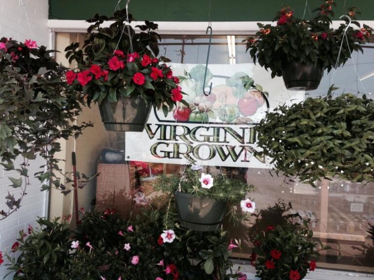 Virginia Grown 235d2b85 5056 a36a 07c20f5b41e26b9c 768x576