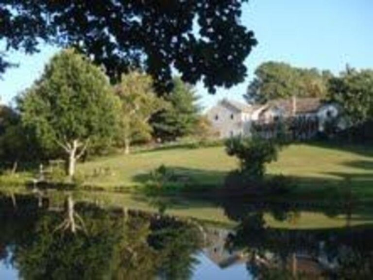 back of house with pond 1b1c0cc7 5056 a36a 071f0d781cbb6f74 768x577