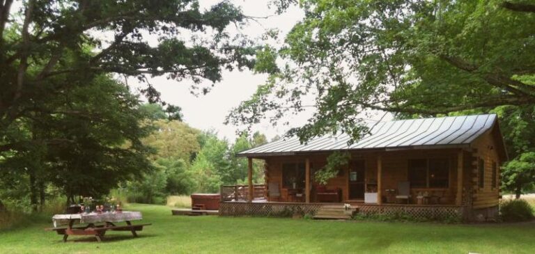 cabin 1dae6968 5056 a36a 076d3e9c8a82c9cb 768x365