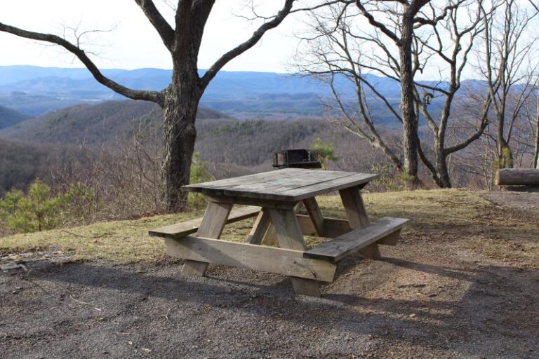 campsite 252f4fa9 5056 a36a 07cdeac98e34650a 768x512