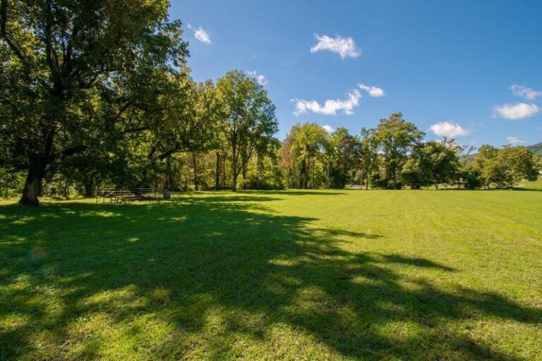 carnes 1 13d772a5 5056 a36a 074783152d6ce71e 768x512