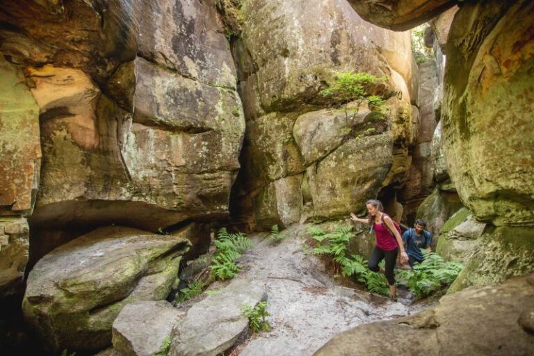 channels 1b159372 5056 a36a 07dffd8dbf3a3a0a 768x512