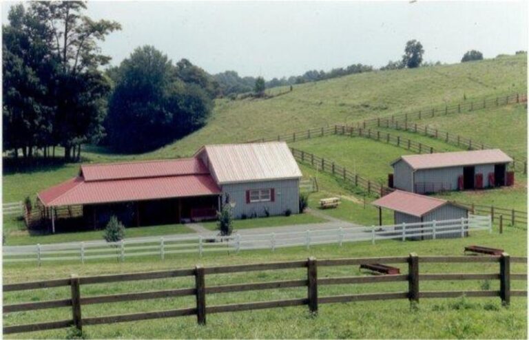 circle s 1d0e91a9 5056 a36a 078d0399b5f0fcc2 768x494