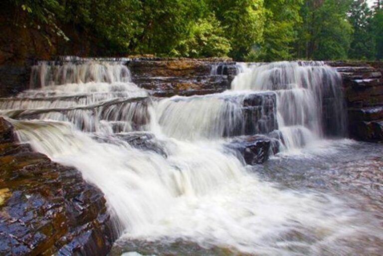 dismal2 255291b0 5056 a36a 07168eb4bef6dda9 768x513