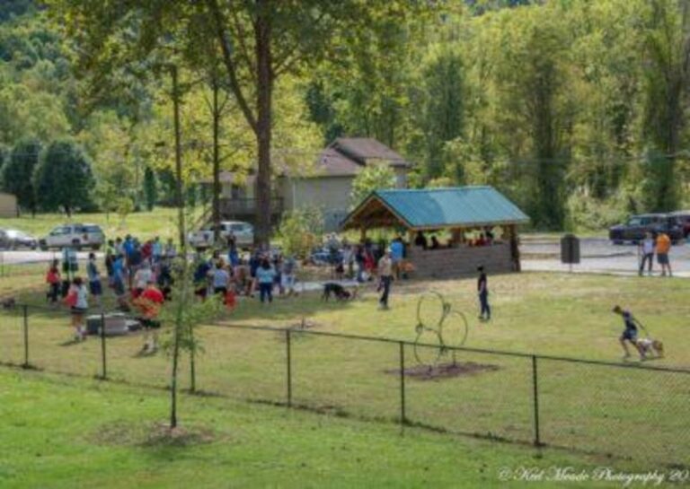 dog park 400x284 13d7e48a 5056 a36a 07fe6943f027850b 768x545