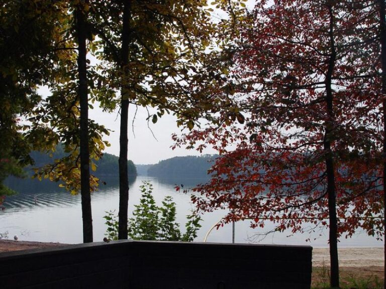 dsc00563 1ffdb43f 5056 a36a 0791c8d5d44eba76 768x576