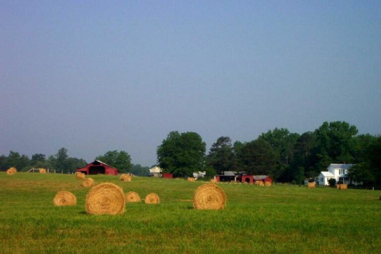 farmfromhwy 277a543f 5056 a36a 0798491a530c91fe 768x512