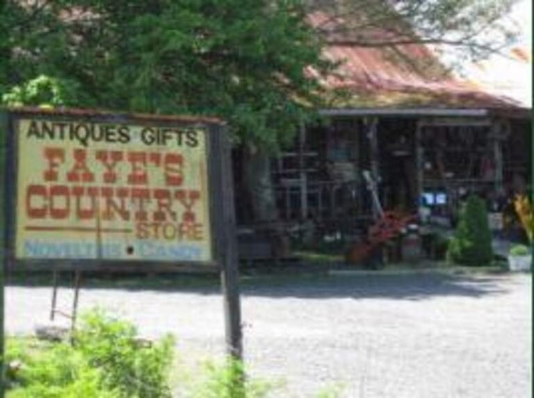 fayes 1bda07cc 5056 a36a 07aea91a3dc25e3f 768x573