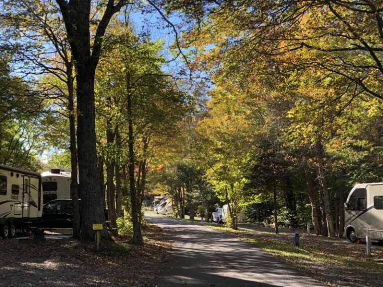 gh campground D79955B8 C525 4936 80EFB147CDD6D59B 87ab47e4 be1b 4df5 b993106c3b9378ec 768x576