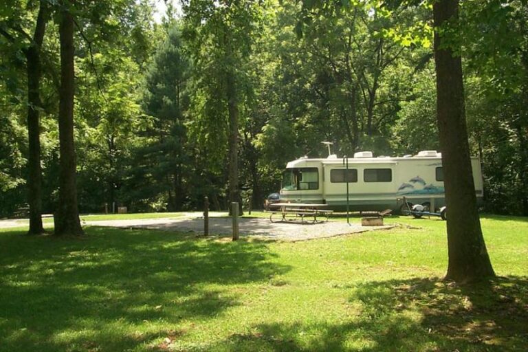 jamison head 1fdcca65 5056 a36a 077390377d380a52 768x512