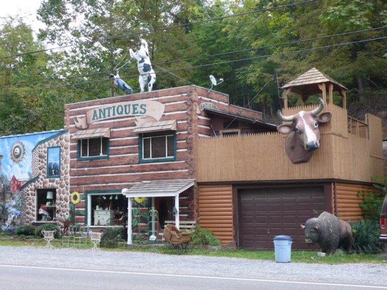 kellysrealdeals 236df6f9 5056 a36a 073c55631225df7b 768x577